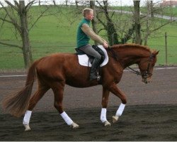 horse Step by step 20 (Trakehner, 2004, from Handryk)