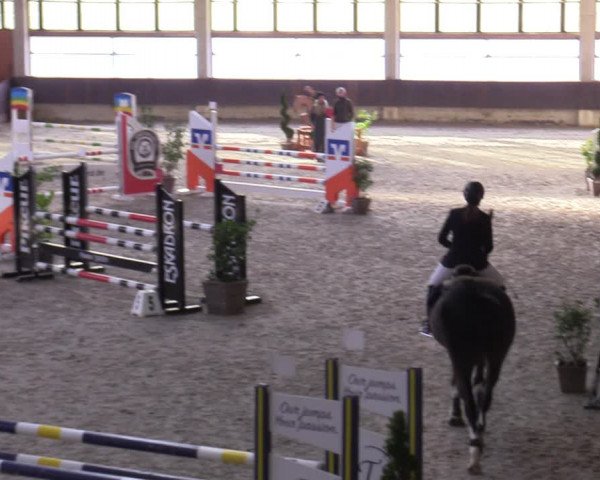 Hallennachwuchsturnier Herford 2022