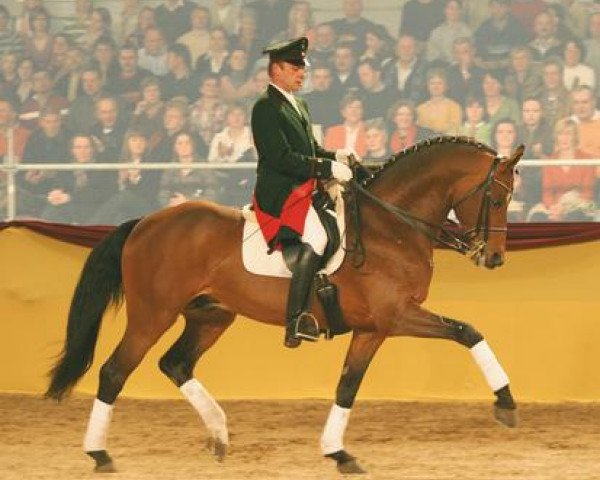 dressage horse Herkules (Sachse, 1998, from Handryk)