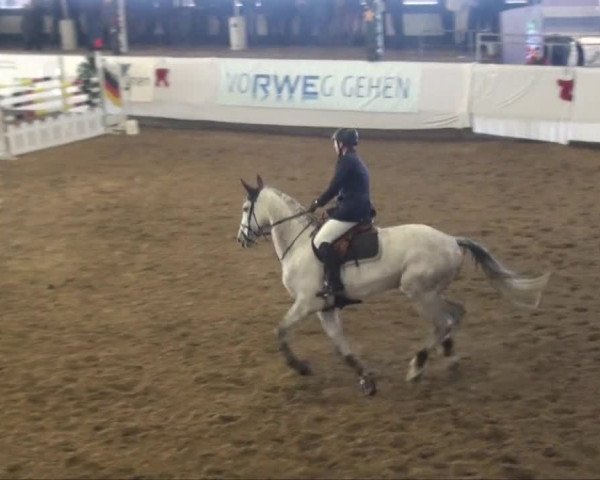 Video of Quixe