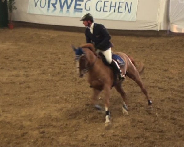 Marl 2010