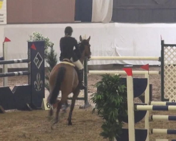 Video of Lorena 111