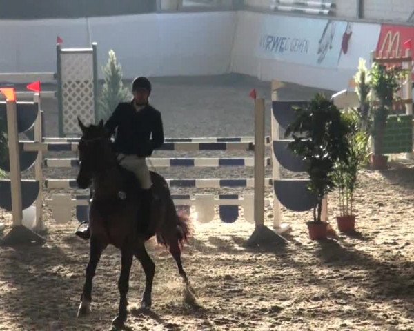 Video of Zafiro VDL