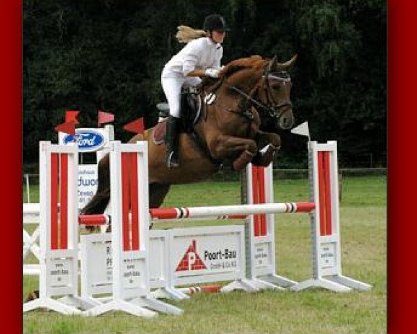 dressage horse Lady Mijanou (Oldenburg show jumper, 2003, from Ludwig von Bayern 168 FIN)