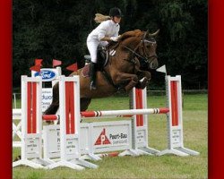 dressage horse Lady Mijanou (Oldenburg show jumper, 2003, from Ludwig von Bayern 168 FIN)