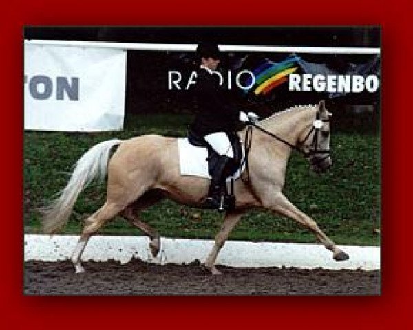 broodmare Dream Girl (German Riding Pony, 1992, from Derano Gold)