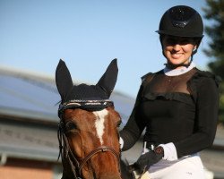 jumper Nalou van 't Neohof (Belgian Warmblood, 2013, from Balou du Rouet)