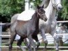 broodmare Kronwicke (Trakehner, 1994, from Frescobaldi xx)