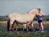 broodmare Cariena C-99 (Fjord Horse, 1982, from Oswin)