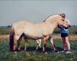 broodmare Cariena C-99 (Fjord Horse, 1982, from Oswin)