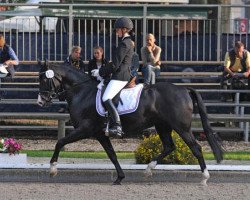 dressage horse Lulu 110 (German Riding Pony, 2006, from Revell)