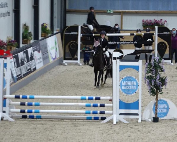 Reitturnier Borken 2022