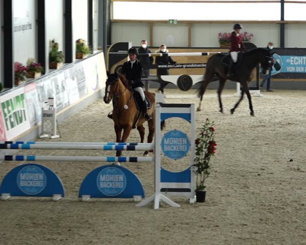 Reitturnier Borken 2022