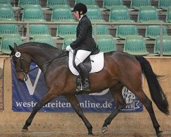 broodmare Rominten 7 (Trakehner, 2004, from Elfengeist)