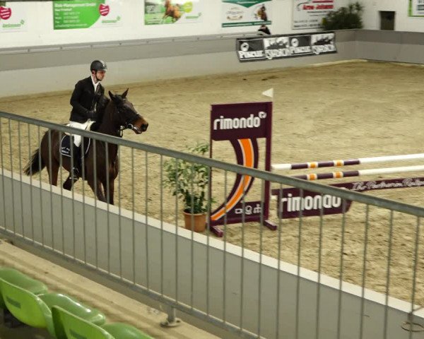 Reitturnier Luhmühlen 2022
