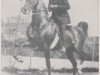 Deckhengst Edna May's King (American Saddlebred Horse,  , von Bourbon King)