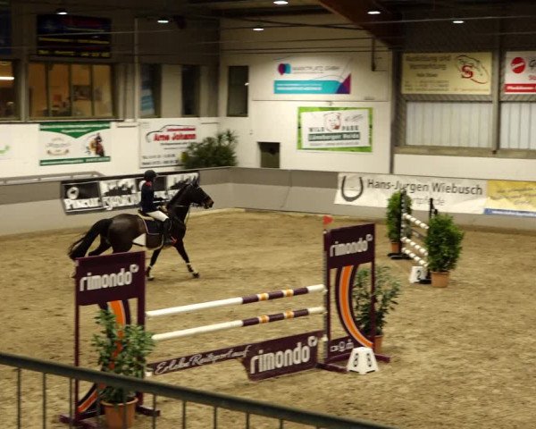 Reitturnier Luhmühlen 2022