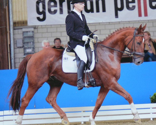 dressage horse Flash Gordon 27 (Westphalian, 2003, from Fleurop)