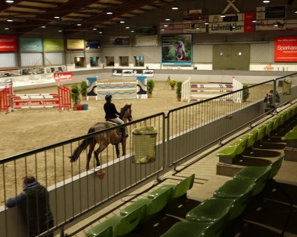 Reitturnier Luhmühlen 2022