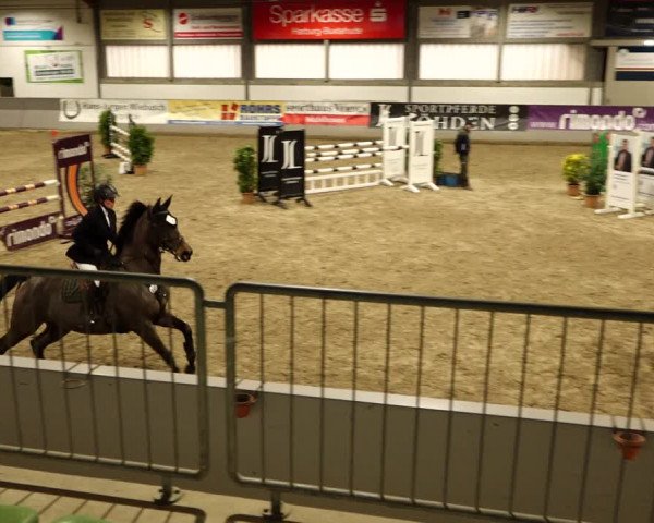 Reitturnier Luhmühlen 2022
