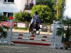 jumper Geronimo 605 (German Riding Pony, 2007)