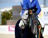 jumper Vanda Rubicon (Oldenburg show jumper, 2017, from Cristallo I)