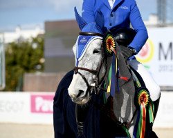 jumper Vanda Rubicon (Oldenburg show jumper, 2017, from Cristallo I)