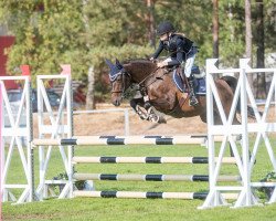 broodmare Peek a Boo (Swedish Riding Pony, 1999, from Dito)