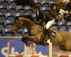 jumper Cressendo Bv Z (Zangersheide riding horse, 2009, from Canturano I)