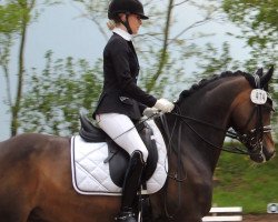 dressage horse Proud Shalimar (German Riding Pony, 2007, from Proud Rocketti)