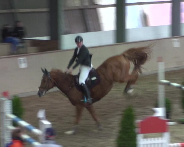 Reitturnier Bonn - Gut Ettenhausen 2017