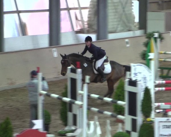 Reitturnier Bonn - Gut Ettenhausen 2017