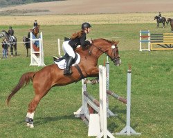 broodmare Shila 153 (German Sport Horse, 2005, from Careras)