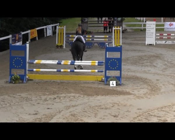 Reit- und Springturnier des RV Letmathe e.V. 2014