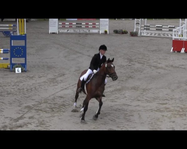 Reit- und Springturnier des RV Letmathe e.V. 2014