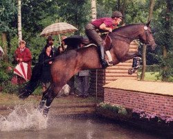 horse Dornroeschen V (Trakehner, 1986, from Arrak)