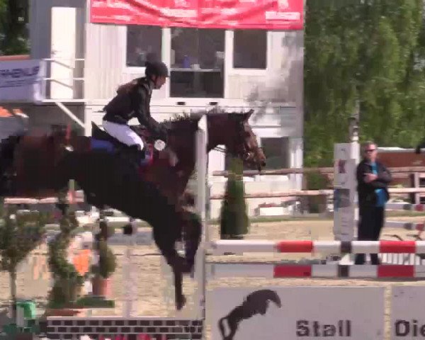 Großes Reit- und Springturnier Kirchhellen/Stall Dieckmann 2015