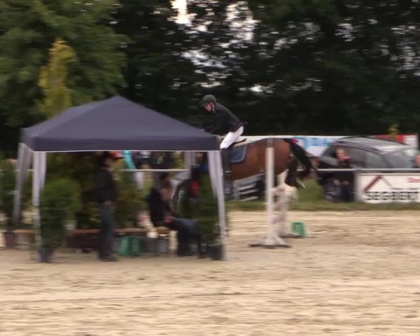 Coesfelder Reitertage 2015