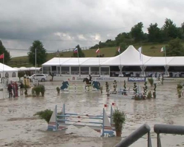 FEI Reitturnier Sommerstorf (GER) 2015