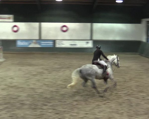 Reitturnier Salzkotten 2015