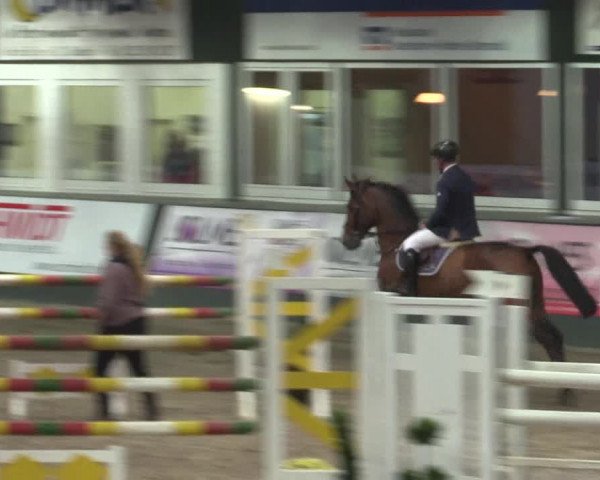 Reitturnier Salzkotten 2015