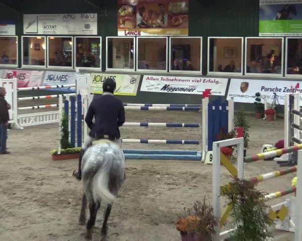 Reitturnier Salzkotten 2015