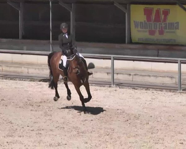 Frühjahrs-Reitturnier Ingolstadt-Hagau 2016
