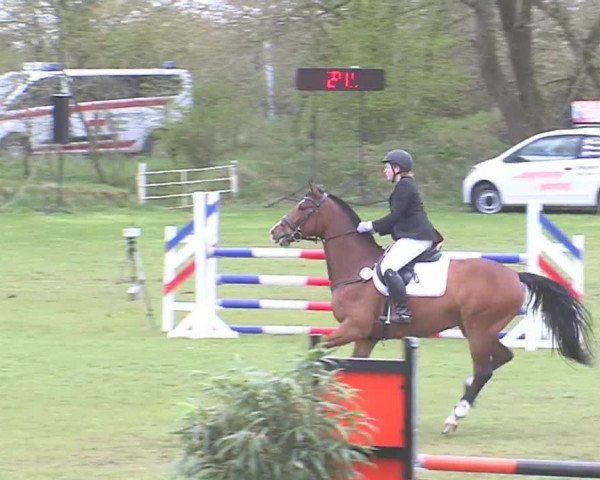Reitturnier Heide-Hochfeld 2016