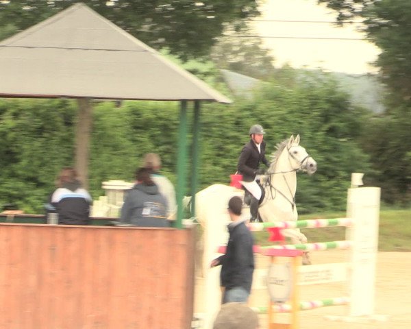 Reitturnier Fröndenberg 2016