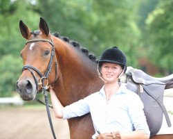 dressage horse Dossier 3 (Trakehner, 2010, from Amadelio)