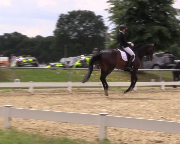 Reitturnier Coesfeld/Lette 2017