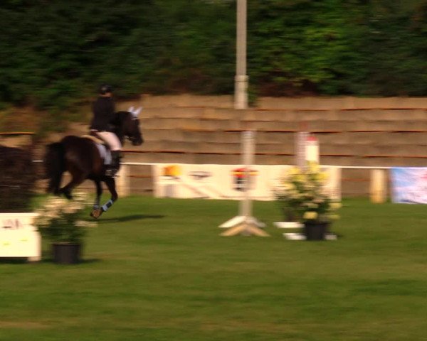 Reitturnier Baschütz bei Bautzen 2017