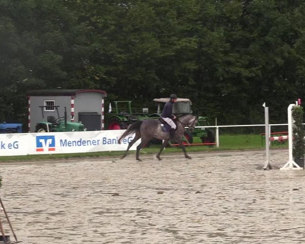 Reitturnier Menden 2017