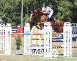 broodmare Ralphy Utopia de Ransbeck (Belgium Sporthorse, 2001, from Ohio van de Padenborre)